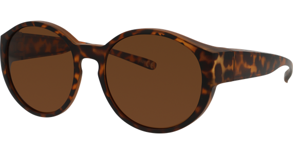 Sunray Pola Überbrille 06-57430-03 - Mening 2