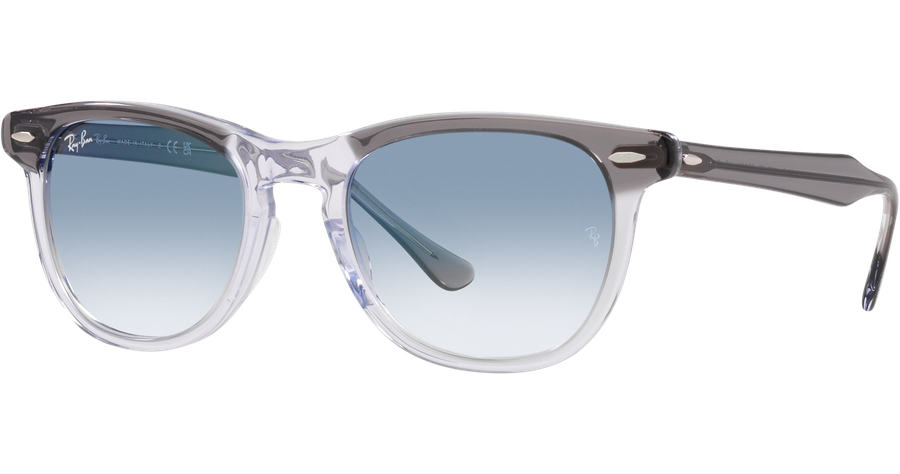 Ray-Ban Sonnenbrille Unisex Ray-Ban Eagle Eye RB2398 13553F Mening 1