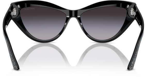Jimmy Choo JC5004 504587 55 - Mening 5