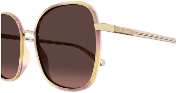 Chloé CH0031S 59 014 - Mening 4