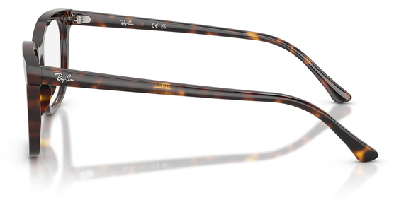 Ray-Ban RX5446 2012 - Ansicht 4