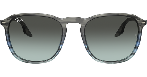 Ray-Ban RB2203 1391GK - Mening 3