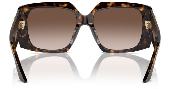 Jimmy Choo JC5006U 500213 55 - Mening 5