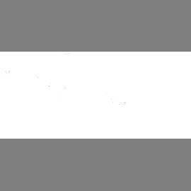 Saint Laurent Brille Unisex Saint Laurent SL 726/F 53 003