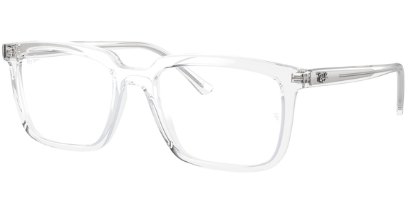 Ray-Ban Alain RX7239 2001 - Mening 2