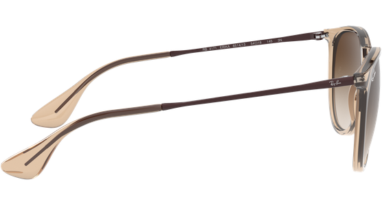 Ray-Ban Erika Classic RB4171 651413 54 - Mening 14