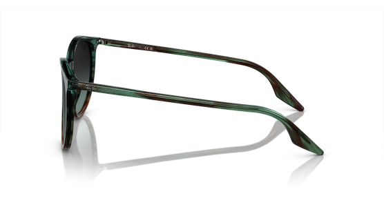 Ray-Ban RB2204 1394GK - Mening 4