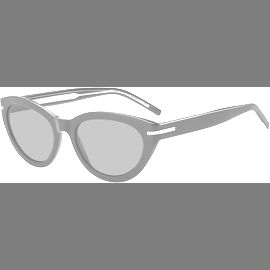 Hugo Boss Sonnenbrille Damen Hugo Boss BOSS 1779/S 55 807