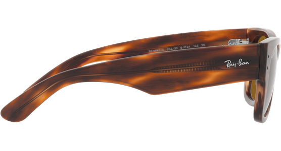 Ray-Ban Mega Wayfarer RB0840S 954/33 - Mening 10