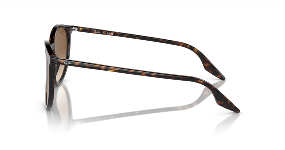 Ray-Ban 0RB2204 902/51 - Mening 4