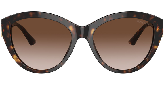 Jimmy Choo JC5007 500213 55 - Mening 3