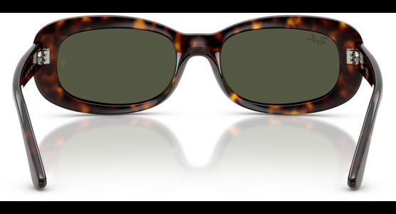Ray-Ban RB2221 902/31 - Ansicht 5