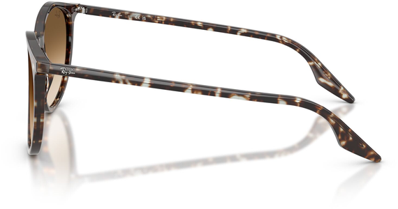 Ray-Ban RB2204 143151 - Mening 4