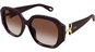 Chloé CH0236S 56 003