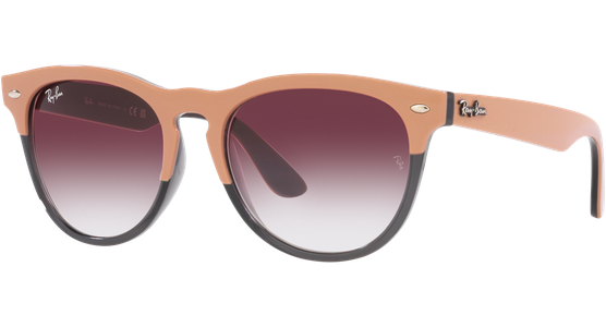 Ray-Ban Iris RB4471 66338H - Ansicht 2
