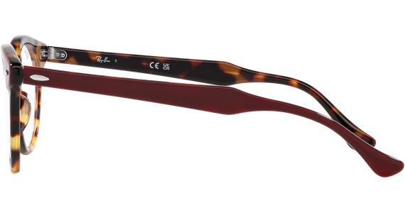Ray-Ban RX5598 8250 - Mening 4