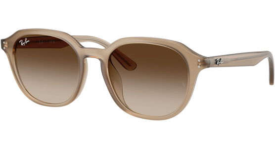 Ray-Ban RB4459D 616613 - Ansicht 2