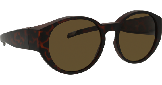 Sunray Pola Überbrille 06-57420-02 - Mening 5