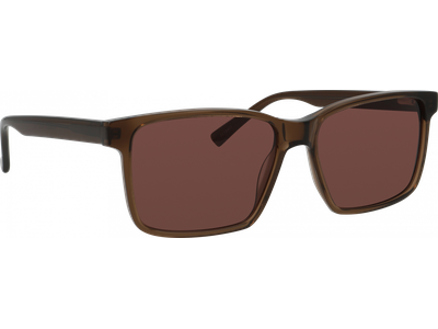 meineBrille Sonnenbrille Unisex meineBrille 14-36090-01 Braun glänzend Ansicht 4