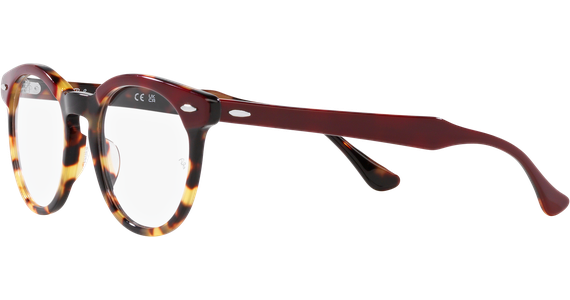 Ray-Ban RX5598 8250 - Mening 3
