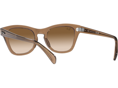 Ray-Ban Sonnenbrille Unisex Ray-Ban RB0707S 664051 Ansicht 5