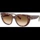 Ray-Ban 0RB2286 141451