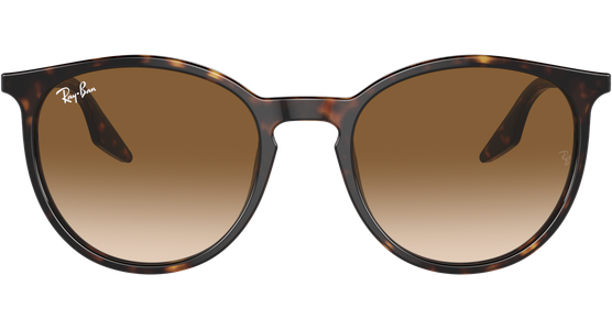 Ray-Ban 0RB2204 902/51 - Mening 3