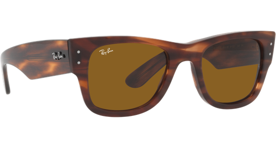 Ray-Ban Mega Wayfarer RB0840S 954/33 - Mening 12