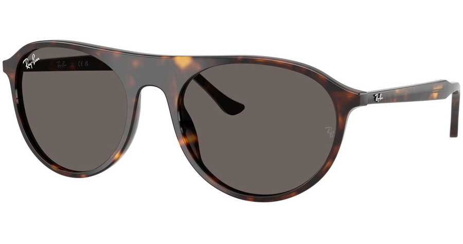 Ray-Ban Sonnenbrille Unisex Ray-Ban RB2215 902/B1 Ansicht 1