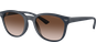 Emporio Armani EA4225U 508813