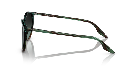 Ray-Ban RB2204 1394GK - Mening 4