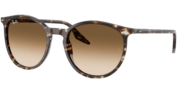 Ray-Ban RB2204 143151 - Mening 2