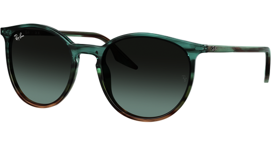 Ray-Ban RB2204 1394GK - Mening 2