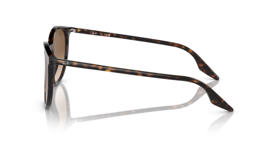 Ray-Ban 0RB2204 902/51 - Mening 4