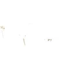 Saint Laurent Brille Unisex Saint Laurent SL 106 50 010