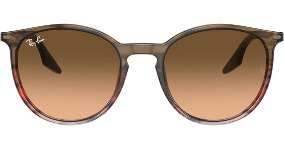 Ray-Ban RB2204 13953B - Mening 3