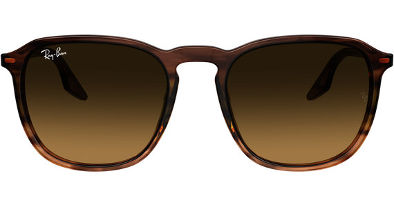 Ray-Ban RB2203 13920A - Mening 3