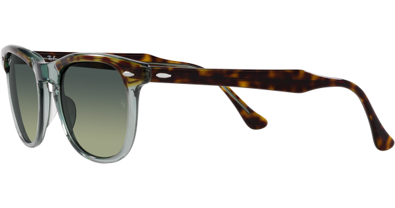 Ray-Ban Eagle Eye RB2398 1376BH - Mening 3