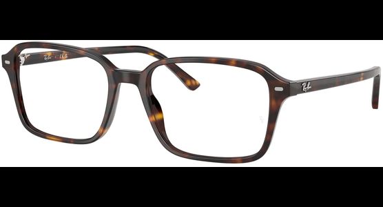 Ray-Ban Raimond RX5431 2012 - Ansicht 2