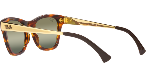 Ray-Ban RB0707SM 954/G4 - Mening 5