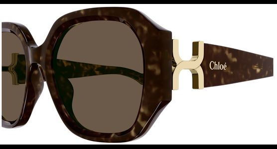 Chloé CH0236S 56 002 - Mening 4