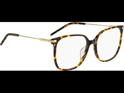 Hugo Boss Brille Damen Hugo Boss BOSS 1736/G 55 LVL Ansicht 4