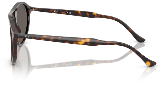 Ray-Ban RB2215 902/B1 - Ansicht 4