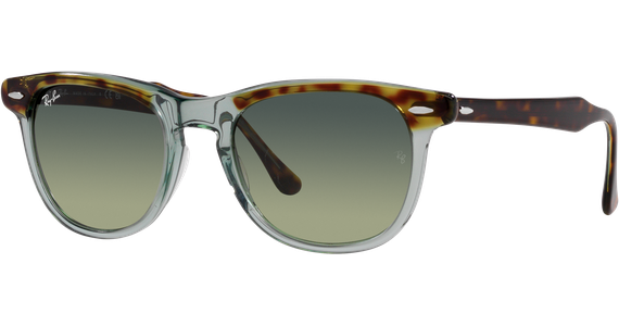 Ray-Ban Eagle Eye RB2398 1376BH - Mening 2