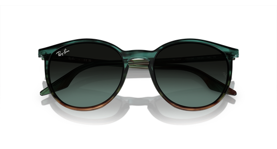 Ray-Ban RB2204 1394GK - Mening 6