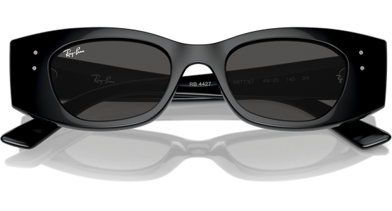 Ray-Ban 0RB4427 667787 - Ansicht 6