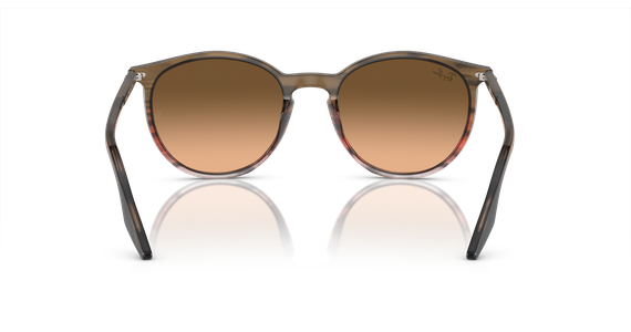 Ray-Ban RB2204 13953B - Mening 5