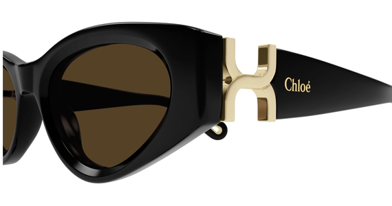 Chloé CH0259S 52 001 - Mening 4