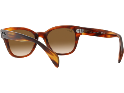 Ray-Ban RB0880S 954/51 - Ansicht 5