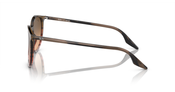 Ray-Ban RB2204 13953B - Mening 4